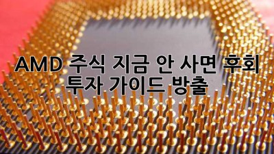 AMD 주식, 지금 안 사면 후회?📈 투자 가이드 大방출!